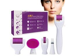 6 in 1 Derma Roller System