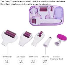 6 in 1 Derma Roller System