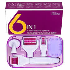 6 in 1 Derma Roller System